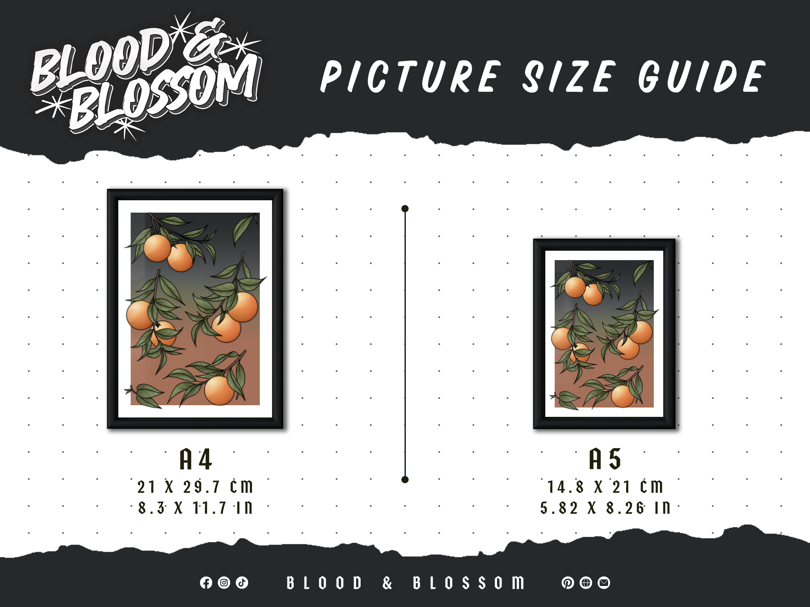 Apothocary Diaries Illustrated Art Print 🌿🫚