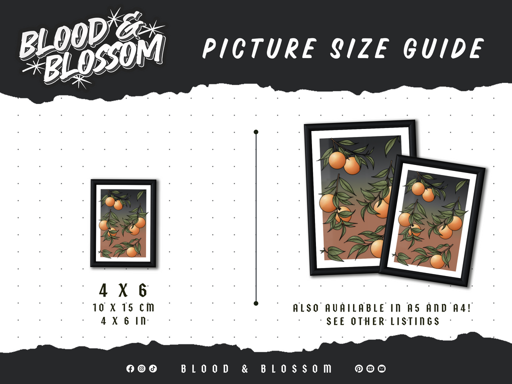 Armin's Conch Inspired Mini Art Print 🐎🔰